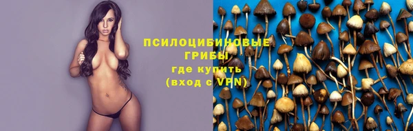 ECSTASY Алексеевка