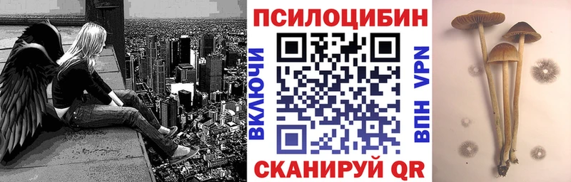 Псилоцибиновые грибы мухоморы  где продают наркотики  Чистополь 